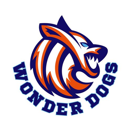 김연경이 이끌 배구팀 '필승 원더독스' 로고[MBC 제공. 재판매 및 DB 금지]