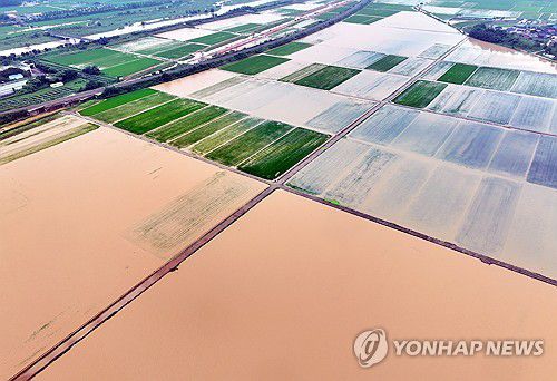 흙탕물에 잠긴 함평 농경지(함평=연합뉴스) 정다움 기자 = 지난달 4일 오전 전남 함평군 엄다면 일대 농경지가 빗물에 잠겨 있다. 함평에는 호우 특보가 발효된 전날 하루에만 170여㎜의 비가 내렸다. 2025.8.4 daum@yna.co.kr