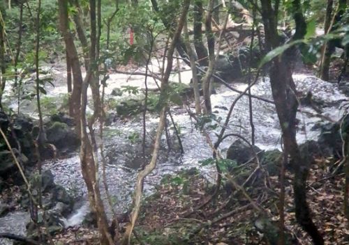 불어난 한라산 둘리길 계곡물[제주도소방안전본부 제공, 재판매 및 DB 금지]