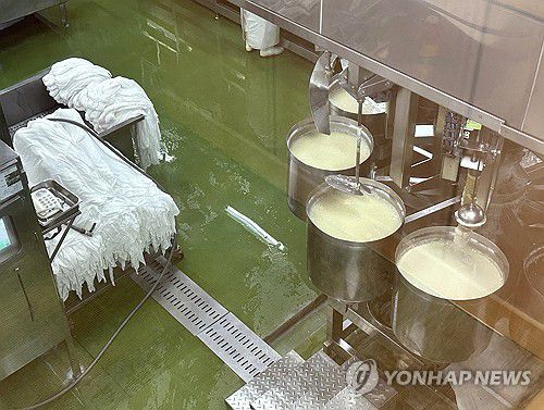 강릉 '초당두부'도 위기(강릉=연합뉴스) 강태현 기자 = 최악의 가뭄으로 '재난 사태' 선포 12일째를 맞은 10일 강릉초당두부 공장에서 두부가 제조되고 있다. 콩 세척과 불리기, 끓이기, 여과, 열 냉탕 처리 등 과정에 물 사용이 필수적인 탓에 두부 식당과 공장은 단수로 인한 생업 위기를 토로하고 있다. 2025.9.10 taetae@yna.co.kr