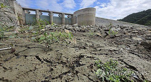 강릉의 갈 길 먼 해갈[연합뉴스 자료사진]