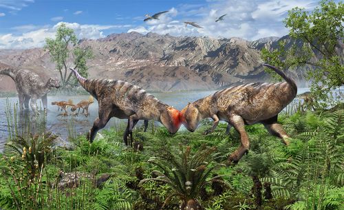 박치기하는 어린 '파키케팔로사우루스' 상상도 [Masaya Hattori 제공. 재판매 및 DB 금지]