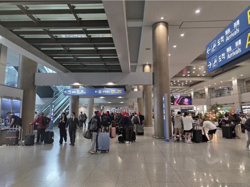 중국인 단체관광객 무비자 입국이 허용된 첫 날인 29일 인천국제공항 1터미널.[촬영 박수현]
