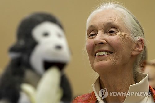 제인 구달 박사[EPA=연합뉴스 자료사진. 재배포 및 판매 금지]