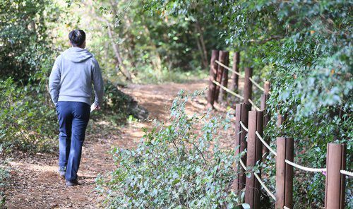 제주 머체왓숲길[연합뉴스 자료사진]