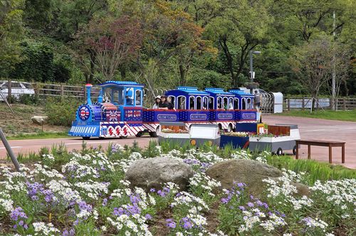 미니열차[영월군 제공.재판매 및 DB 금지]