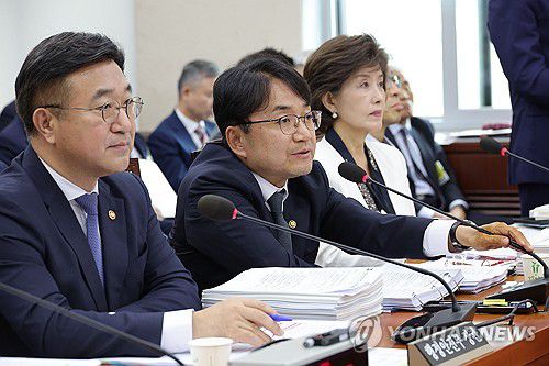 의원 질의 답변하는 김광용 본부장(서울=연합뉴스) 류영석 기자 = 김광용 재난안전관리본부장이 14일 서울 여의도 국회에서 열린 행정안전위원회 국정감사에서 의원 질의에 답변하고 있다. 2025.10.14 ondol@yna.co.kr