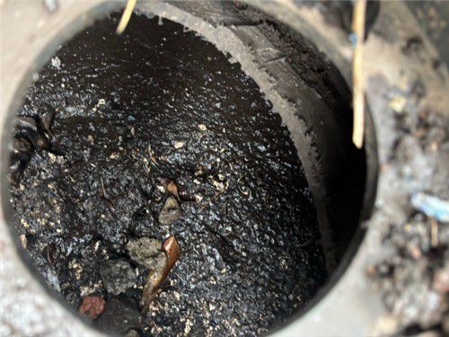 흑염소 불법 도축 작업장[제주도 자치경찰단 제공. 재판매 및 DB 금지]