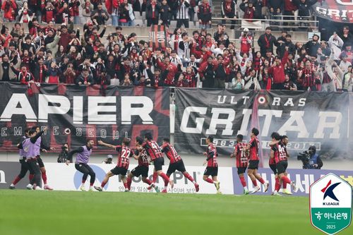 류재문의 역전 결승골에 환호하는 FC서울 선수들[한국프로축구연맹 제공. 재판매 및 DB 금지]