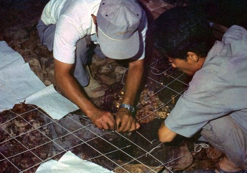 1973년 금관 발굴 당시 모습 [국립문화유산연구원 제공. 재판매 및 DB 금지]