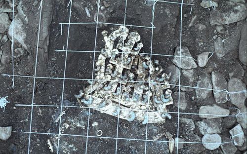 금관 발굴 당시 모습 [국립문화유산연구원 제공. 재판매 및 DB 금지]