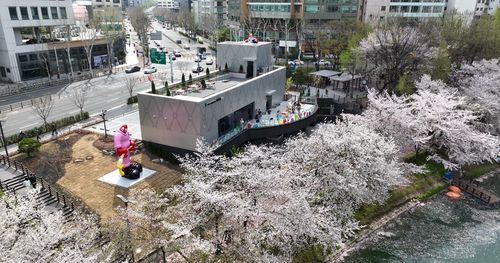 지난 봄 '더 갤러리 호수'[송파구 제공. 재판매 및 DB 금지]