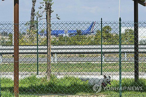 이탈리아 한 공항 인근의 개 호텔※ 기사 내용과 직접 관련 없음 [AP 연합뉴스 자료사진]
