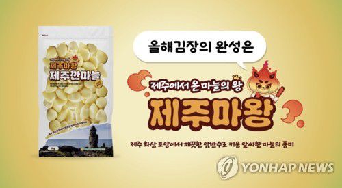 제주산 마늘 '제주마왕' 홍보물[농협제주본부 제공. 재판매 및 DB 금지]