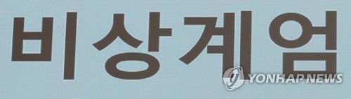 비상계엄[촬영 임화영] 2024.12.9