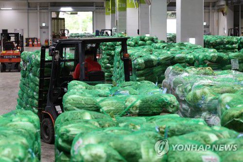 (서울=연합뉴스 자료사진) 이진욱 기자 = 서울 송파구 가락동농수산물도매시장에서 관계자들이 경매를 위해 배추를 옮기는 모습. 2025.7.15 cityboy@yna.co.kr