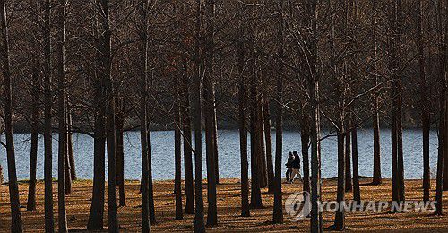 건조한 날씨[연합뉴스 자료사진]