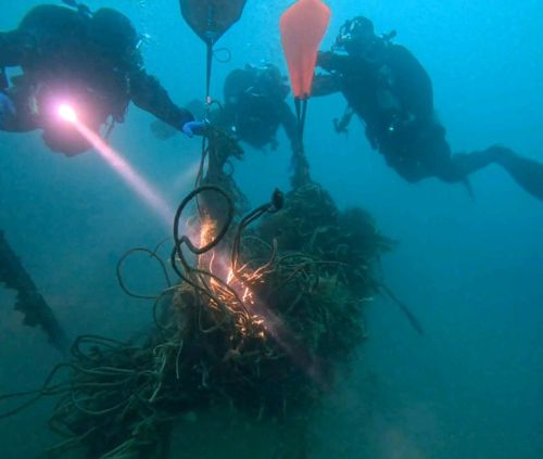 수중정화 활동하는 소방대원들[전국공무원노동조합 소방본부 강원소방지부 제공. 재판매 및 DB 금지]