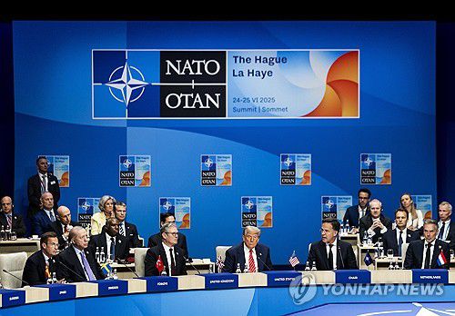지난 6월 네덜란드 헤이그에서 열린 나토 정상회의[EPA=연합뉴스 자료사진. 재판매 및 DB 금지]