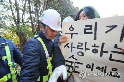 '제주 비자림로 확장공사 반대'(제주=연합뉴스) 경관 훼손 논란으로 공사가 중단됐던 제주 비자림로 확장공사가 2019년 3월 23일 재개되자 비자림로 확장공사를 반대하는 시민사회단체가 팻말을 들고 시위하며 공사 중지를 요구하고 있다. [연합뉴스 자료사진]