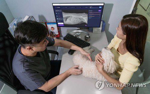 SKT, AI 기반 반려동물 복부 질환 진단 서비스 범위 확대(서울=연합뉴스) SK텔레콤이 AI 기반 반려동물 엑스레이 분석 솔루션 엑스칼리버(X Caliber)의 진단 범위를 반려견의 복부 질환 진단까지 확대하고 요금제도 사용량에 따라 다양화한다고 20일 밝혔다. 사진은 동물병원에서 수의사가 엑스칼리버를 활용해 강아지의 엑스레이 사진을 판독하고 진료하는 모습. 2023.8.20 [SKT 제공. 재판매 및 DB 금지] photo@yna.co.kr