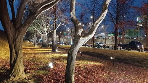 업라이팅 조명등[송파구 제공. 재판매 및 DB 금지]