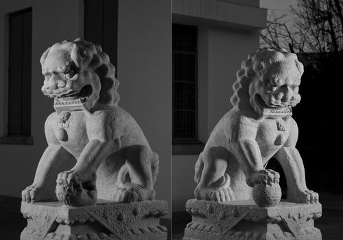 중국에 기증하는 석사자상 왼쪽은 암사자상, 오른쪽은 숫사자상 [국립중앙박물관 제공. 재판매 및 DB 금지]