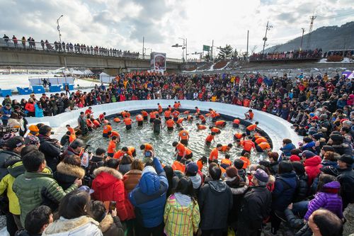 맨손잡기[화천군 제공.재판매 및 DB 금지]