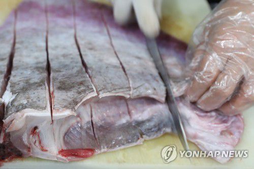 전남 신안군 흑산도 내 한 식당에서 홍어회를 손질하는 모습[연합뉴스 자료사진]