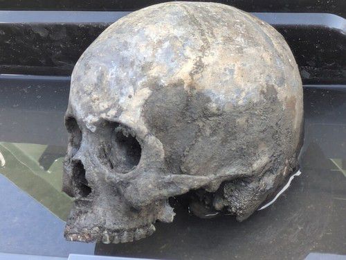 현장에서 발견된 두개골[김경수·김수은씨 제공. 재판매 및 DB 금지]