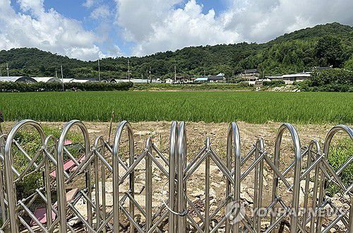 방치되는 폐교[연합뉴스 자료사진]