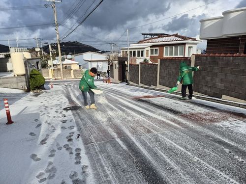 자율방재단 제설 작업[제주도 제공. 재판매 및 DB 금지]