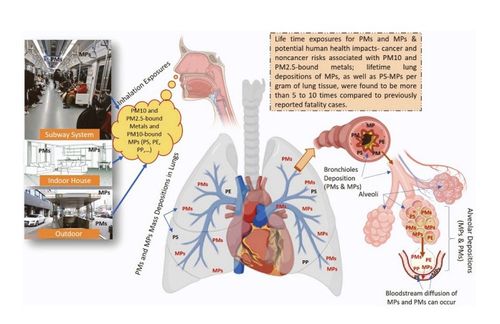 미세먼지(PMs)와 미세플라스틱(MPs)의 평생 노출과 잠재적 인체 건강 영향 모식도. [논문 발췌]