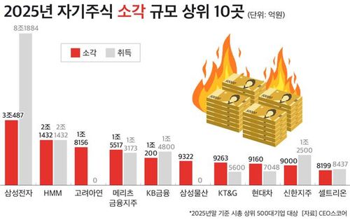 2025년 자사주 소각 상위 10개 기업[CEO스코어 제공. 재판매 및 DB 금지]