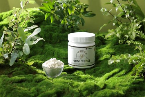 [대원제약 제공]