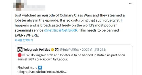 '흑백요리사2' 에피소드에 대한 해외 누리꾼 반응[엑스 앱 캡처. 재판매 및 DB 금지]