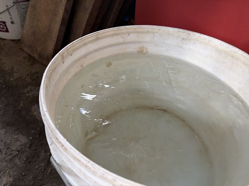 살얼음 낀 물통[촬영 장지현]