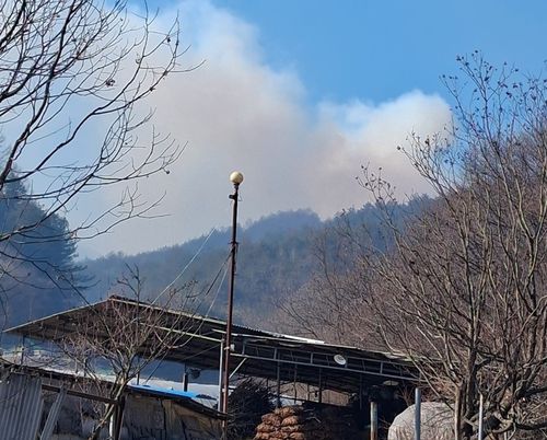 경북 봉화 산불[경북소방본부 제공. 재판매 및 DB 금지]