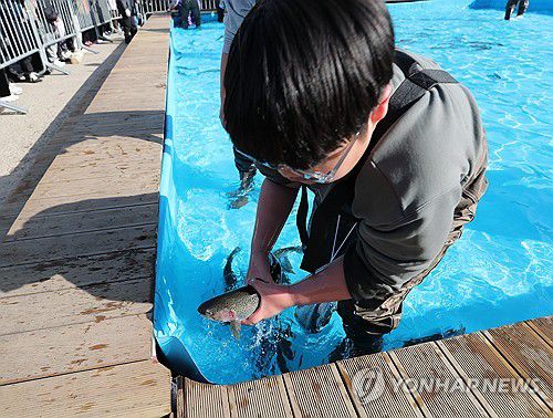 "인삼 송어 잡았다!"(홍천=연합뉴스) 강태현 기자 = 강원 대표 겨울 축제인 '2026 홍천강 꽁꽁축제' 마지막 날인 25일 홍천군 홍천읍 홍천강 일원에서 인삼송어 맨손 잡기 체험이 진행되고 있다. 2026.1.25 taetae@yna.co.kr