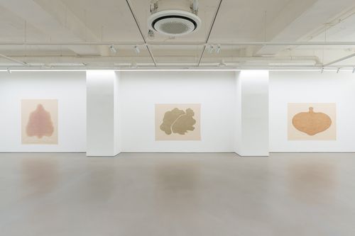 '김홍주: 표면에 남다' 전시 전경[S2A 제공. 재판매 및 DB 금지]