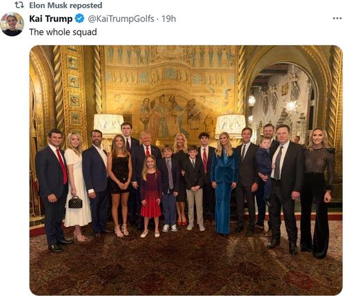 [머스크 X 게시물 캡처]