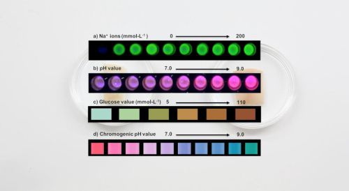 산성도(PH) 수준에 따라 색이 변하는 잉크 기술. 출처=Xin LIU, Katia Vega