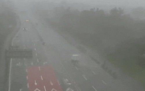 /온라인 커뮤니티