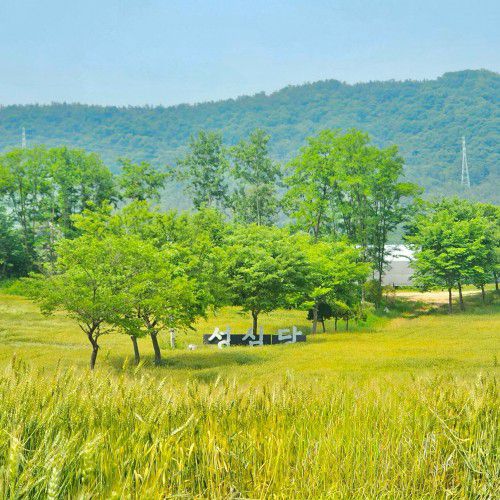 /성심당 인스타그램