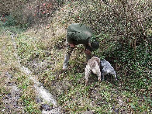 트러플 사냥꾼과 사냥견이 숲속에서 트러플을 찾는 모습. 이탈리아의 트러플 사냥은 2021년 유네스코 무형문화유산에 등재됐다. [유네스코 공식 홈페이]