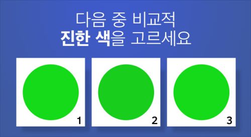 파일럿들만 통과 할 수 있다는 시각테스트!