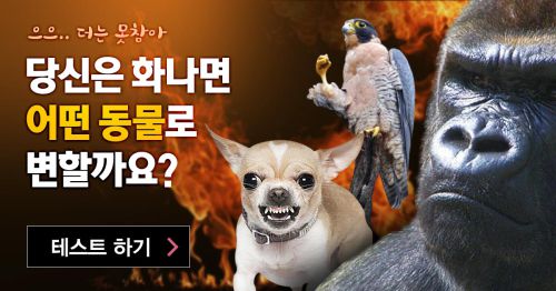 당신은 화나면 무슨 동물로 변할까요?