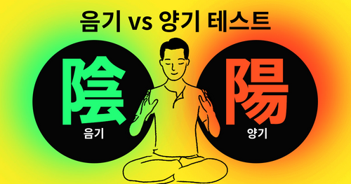 음기 vs 양기 테스트