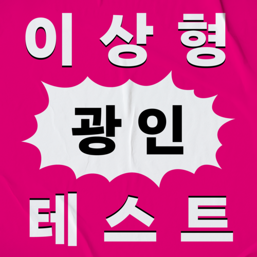 이상형 광인 테스트