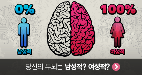 당신의 두뇌는 남성적? 여성적?